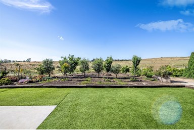 קדמת הגולן - הסוויטה