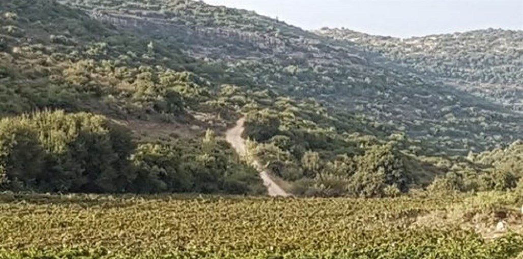 בית החופש בשריגים בית הנופש (36).jpg