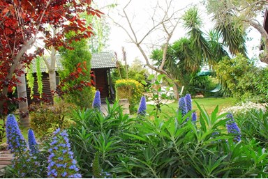 אוטופיה - חצר ובריכה