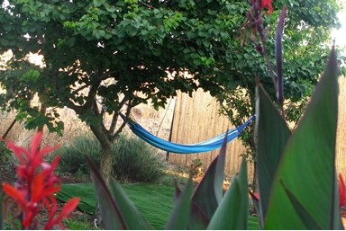 שירת הרוח - החצר והבריכה