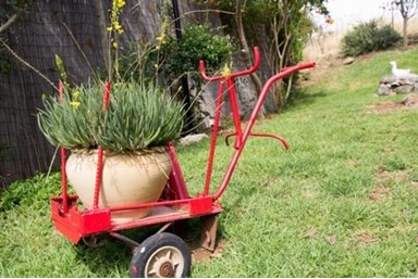 שירת הרוח - החצר והבריכה