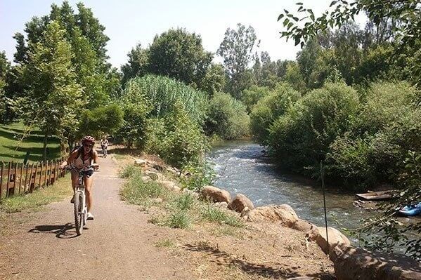 מכחול ורוח מכחול ורוח - חצר וסביבה (5).jpg
