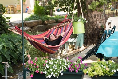 מכחול ורוח - חצר על גדות הנחל