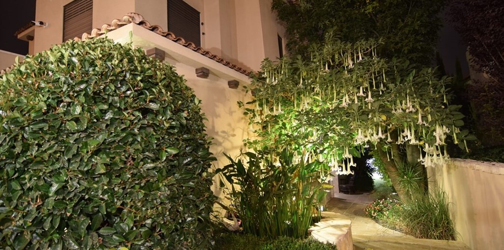 אירוח עץ הפעמונים מתחם החוץ והמתחם המשותף (2).JPG