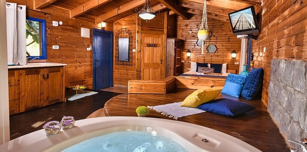 אינדיגולן זוגית (7).jpg