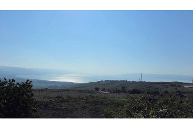 נעם על הכנרת - הבריכה והחצר