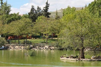 שלווה על ההר - אגם חי