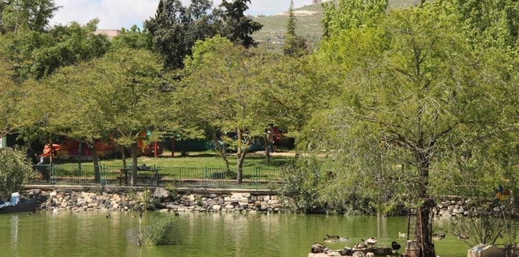 שלווה על ההר שלווה על ההר - אגם החי (10).jpg