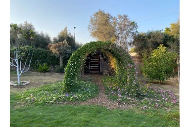 משק נוי - החצר והסביבה