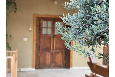 משק נוי - החצר והסביבה