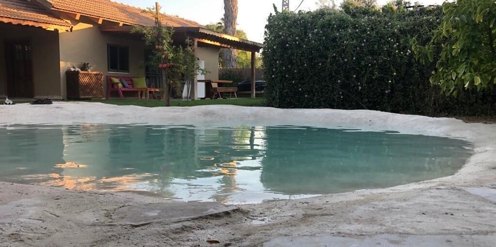 משק נוי ג'קוזי בחצר (1).jpeg