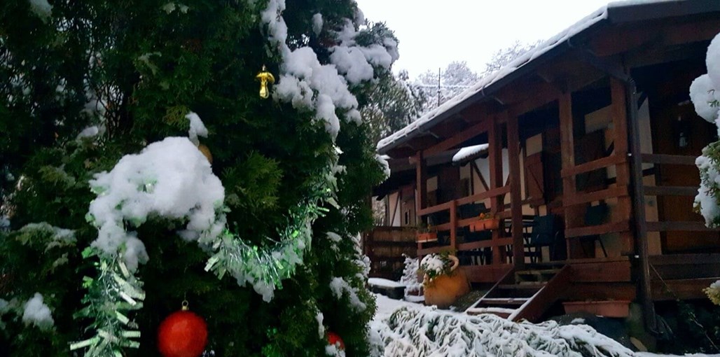 צימרים קלימנטו יחידות שמורת הטבע (8).JPG