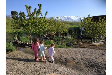 הבקתות האקולוגיות - עופר