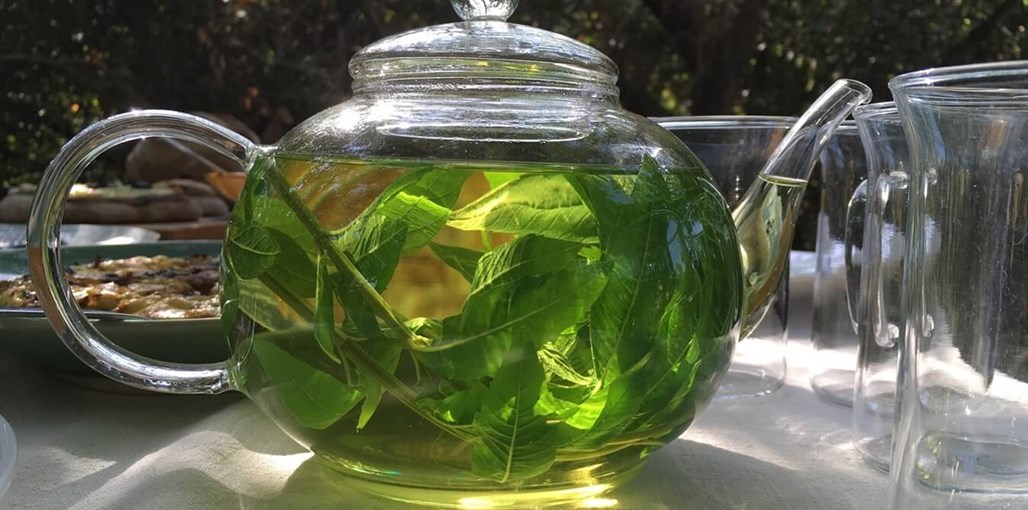 הבית הירוק קנקן תה.jpg