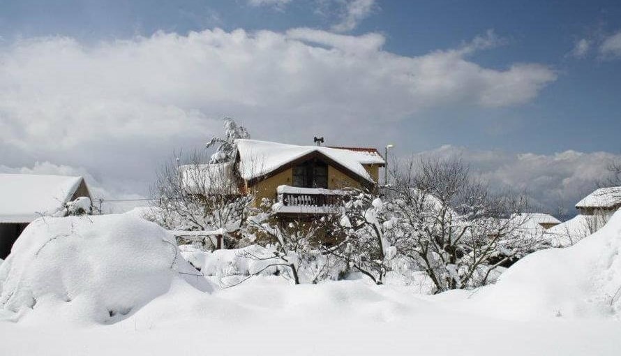 סוזנה באודם סוזנה באודם - שלג (1).jpg