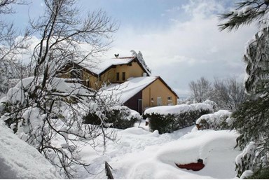סוזנה באודם