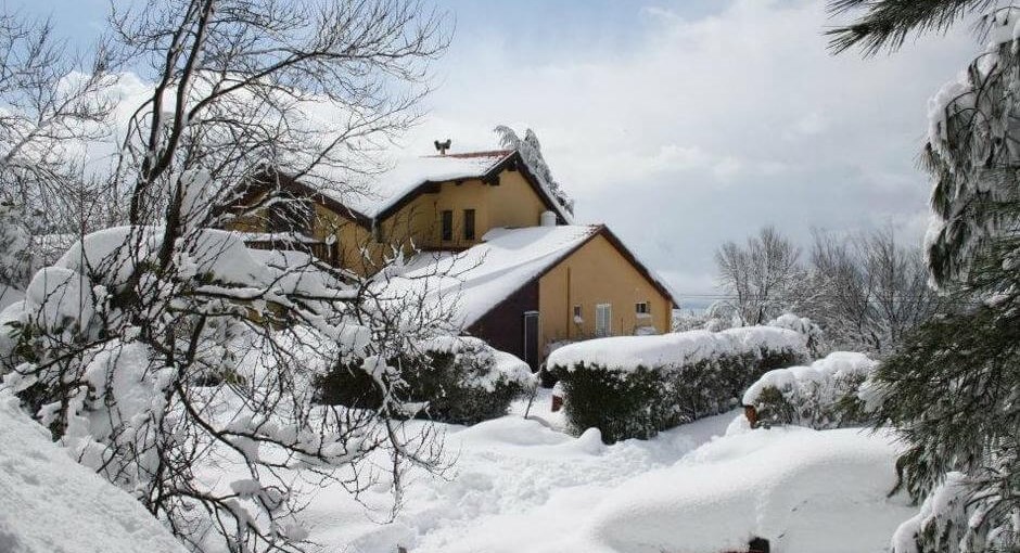 סוזנה באודם סוזנה באודם - שלג (4).jpg