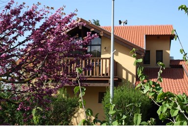 סוזנה באודם - רוזמרין