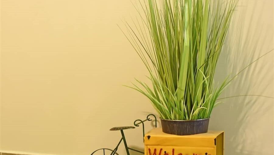 לב החרמון לב החרמון חודש יולי (3).jpg