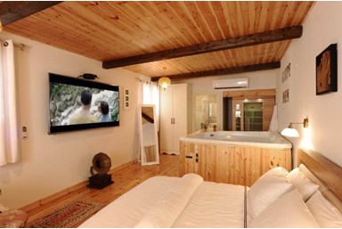 סוויטת David's