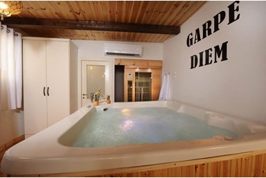 סוויטת David's