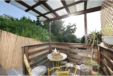 סוויטת David's