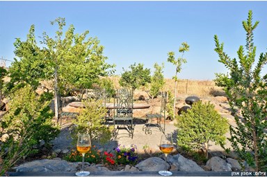 ורד הגולן - החצר והבריכה