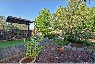 ורד הגולן - החצר והבריכה