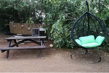 בצל הפקאן קשת - החצר והסביבה