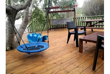 בצל הפקאן קשת - כנרת