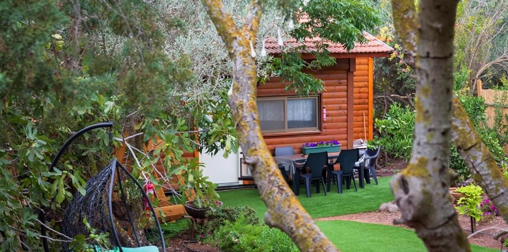 בצל הפקאן קשת חרמון (1).JPG