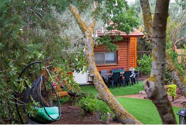 בצל הפקאן קשת - החצר והסביבה