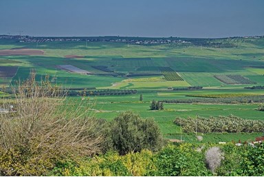 נחלים בקתות בטבע - החצר והבריכה