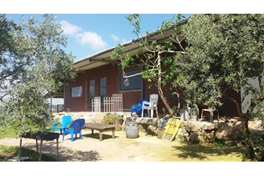 אצל שמשון בחצר