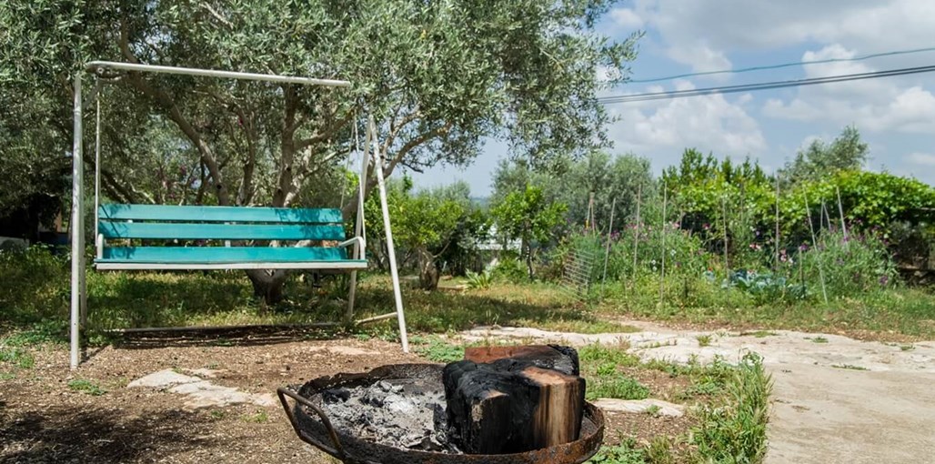 אצל שמשון בחצר _DSC0183m.jpg