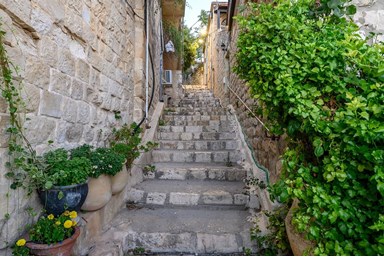 מלון בוטיק רוזנטליס - החצר והנוף