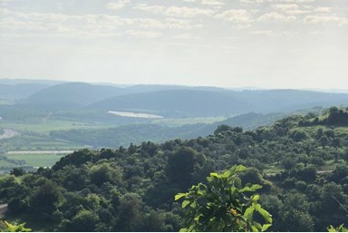 זריחה בזכרון - הבריכה והסביבה