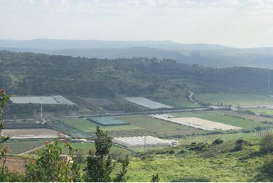 זריחה בזכרון - הבריכה והסביבה