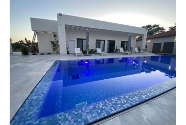 דולב 55 - החצר והבריכה