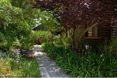 אצל אבנר - החצר