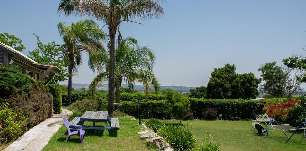 אצל אבנר החצר (3).JPG