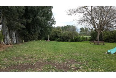 קמפינג נווה קרני - החצר והסביבה