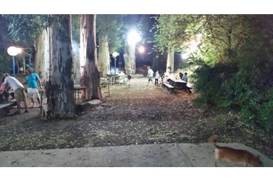 קמפינג נווה קרני - מתחם הקמפינג