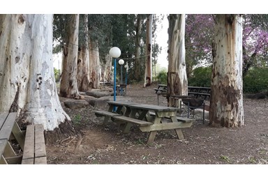 קמפינג נווה קרני - מתחם הקמפינג