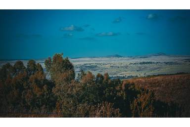 Glow Glamping - גלואו גלמפינג - מתחם החוץ