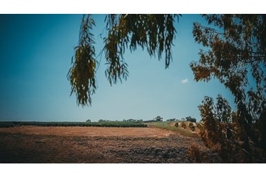 Glow Glamping - גלואו גלמפינג - מתחם החוץ