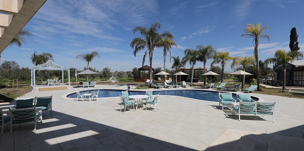 צל האילן כללי (4).JPG