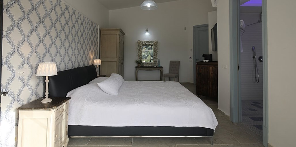 צל האילן אינדיגו (2).JPG