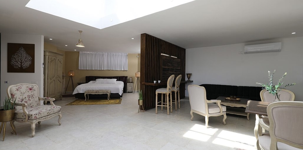 צל האילן עץ הזית (5).JPG