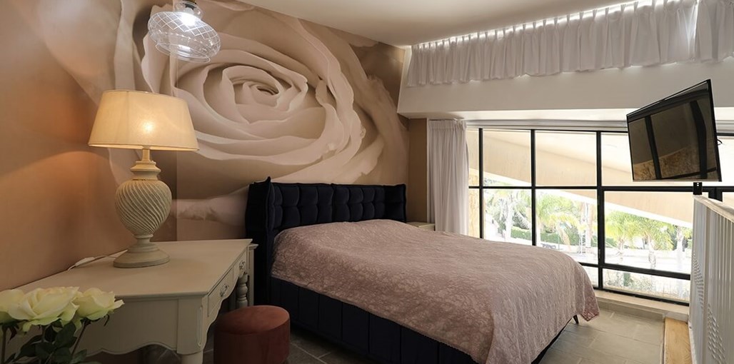 צל האילן ורד לבן (4).JPG